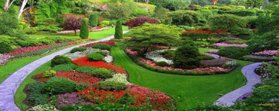 Landscape Build Design